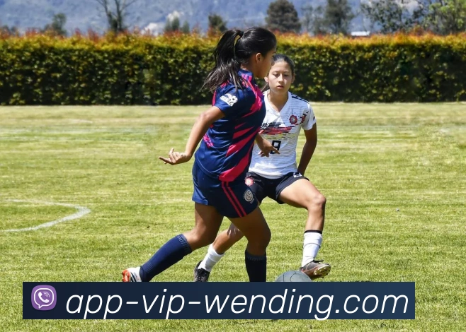 问鼎娱乐app平台生态图