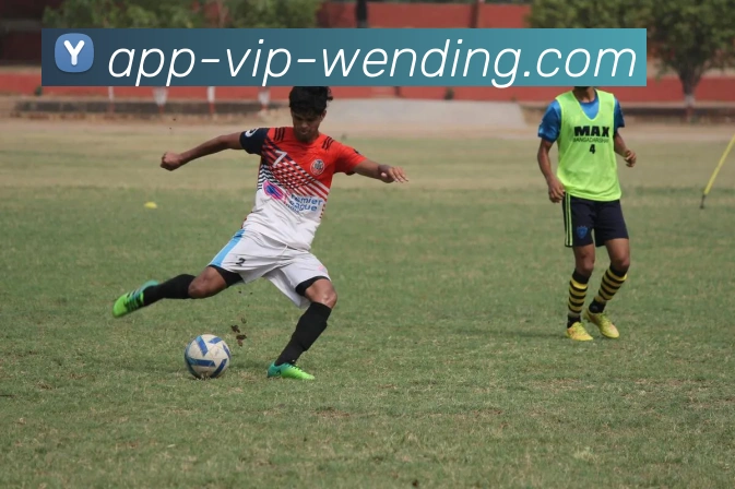 辅助工具 辅助工具